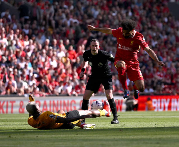 更为专业的 更为专业的