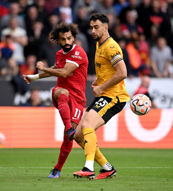 脚踝受伤的 脚踝受伤的